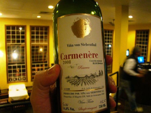Vinhos para acompanhar um bom churrasco Carmenère
