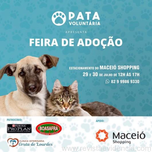 feira de adoção de animais