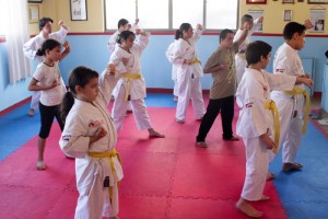 Os alunos do Instituto em aula de Artes Marciais