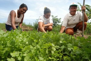 Mulheres cultivam Horta Orgânica no Assentamento Caraibas, em Quixeramobim (Ceará)