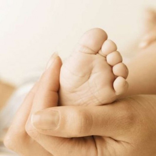 BCU Brasil promove curso especial em Maceió para tirar dúvidas de gestantes BCU Brasil promove curso especial em Maceió para tirar dúvidas de gestantes