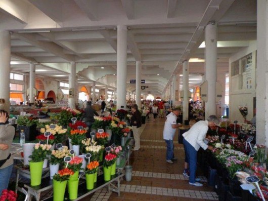 Cannes - Riviera Francesa Mercado das flores