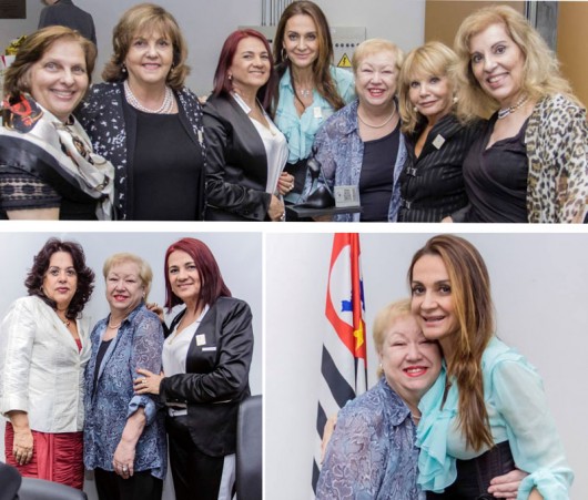 Adeus, Vera Martins Vera no Congresso de Mulheres Empresárias, da OBME, na Assembleia Legislativa de São Paulo, em novembro de 2013. Meu último contato pessoalmente com a querida amiga