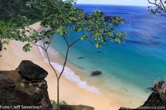 Fernando de Noronha - Photo Jeff Severino