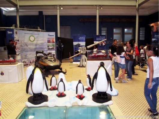 Réplicas de pinguins em tamanho natural