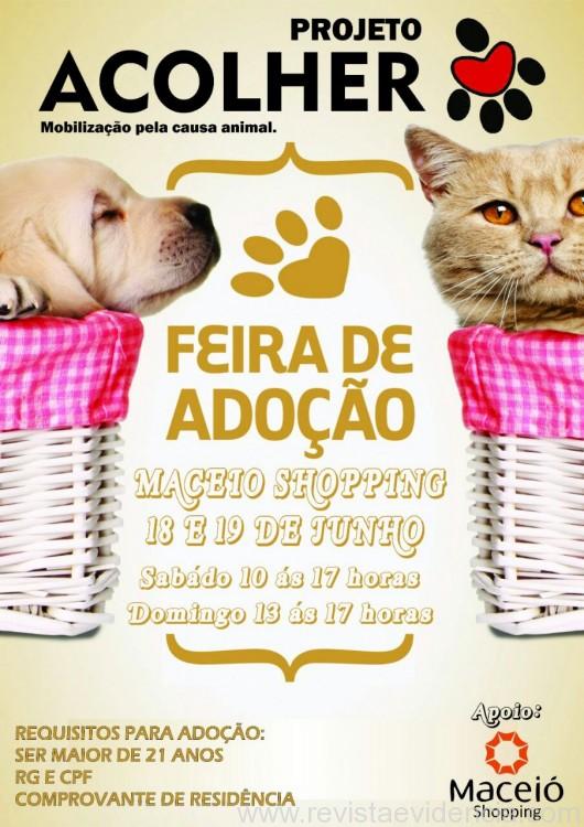 FEIRA DE ADOÇÃO DE CÃES E GATOS
