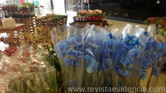 Feira de Flores