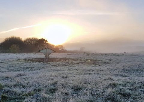 O frio veio para ficar nesta segunda quinzena em SC, massa polar entrará no estado nesta quarta-feira derrubando as temperaturas para abaixo de zero na serra catarinense a partir de quinta-feira. Bem mais frio ainda a partir do sábado a noite, é o que informa o Homem do Tempo Ronaldo Coutinho.