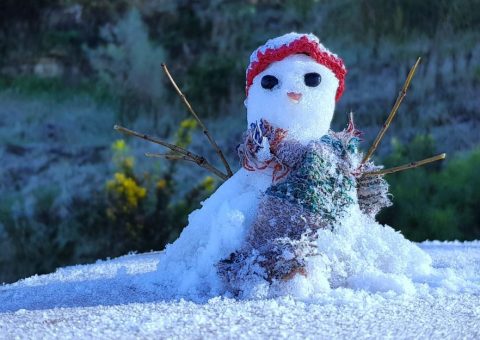 Boneco de Neve - Turismo on line