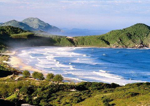 Praia do Rosa - SC, Turismo on Line