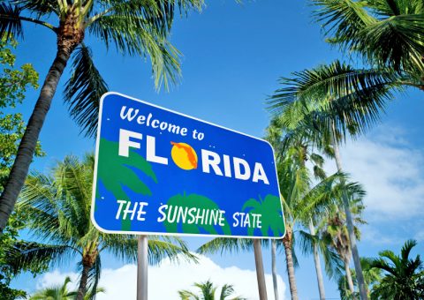 Visit Florida