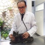 Médico Veterinário Almir Tavares - exame de pressão arterial