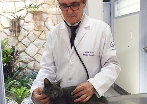 Médico Veterinário Almir Tavares - exame de pressão arterial