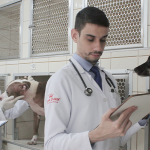 Atendimento no Hospital Veterinário Almir Tavares
