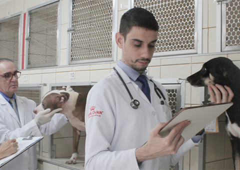 Atendimento no Hospital Veterinário Almir Tavares