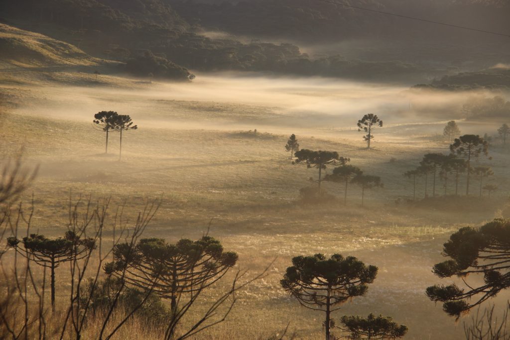 O inverno em Santa Catarina está chegando mais cedo?