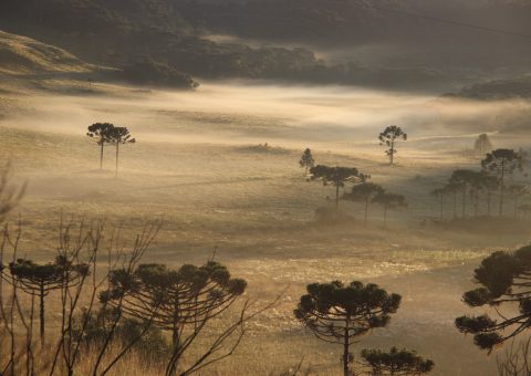 O inverno em Santa Catarina está chegando mais cedo?