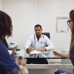 Consultas