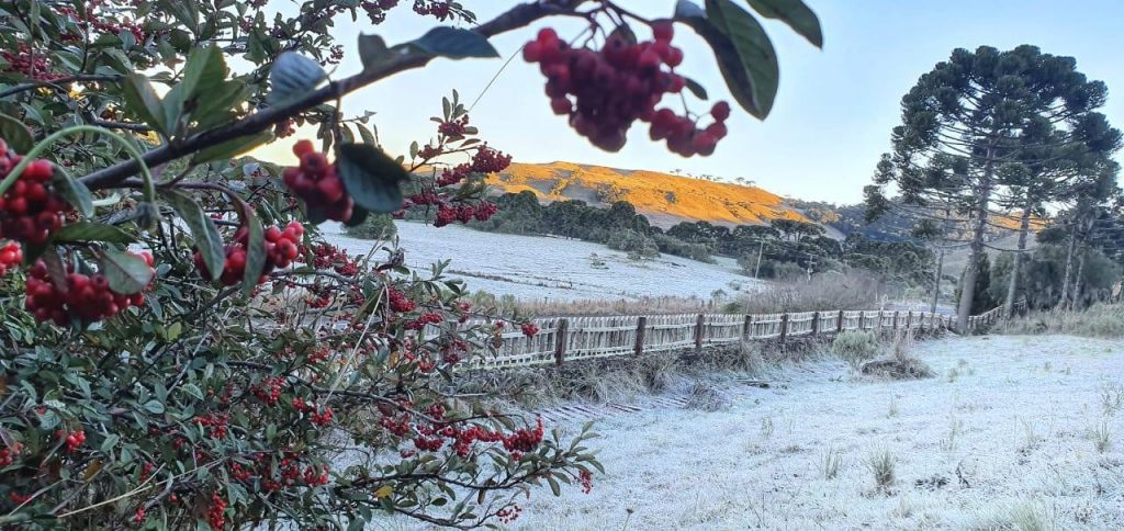 Cores do outono e frio mudam a paisagem serrana catarinense