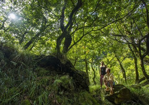 Natureza (Foto: Andre Carvalho)