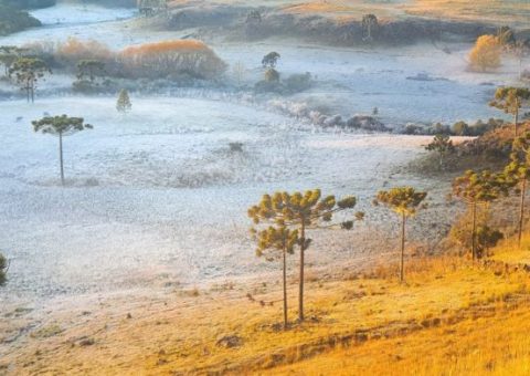 Santa Catarina mostra seus encantos abaixo de zero