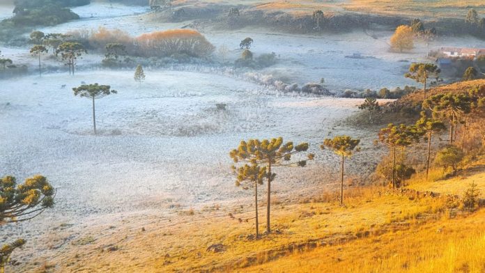 Santa Catarina mostra seus encantos abaixo de zero