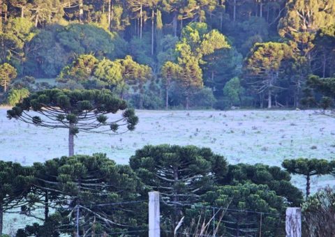 Trade da Serra Catarinense discute desafios e estratégias para o turismo