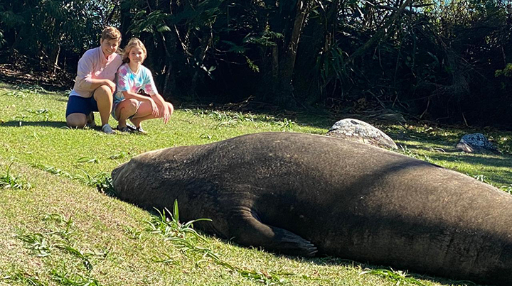 Turistas vips da Patagônia chegam a Santa Catarina