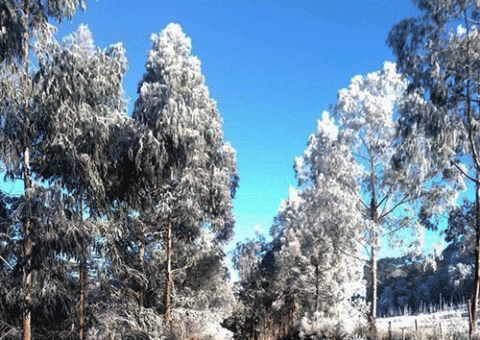 Paisagens invernais encantam os turistas na Serra Catarinense