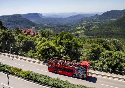 Crescimento e recuperação no faturamento é o que projetam agências de turismo