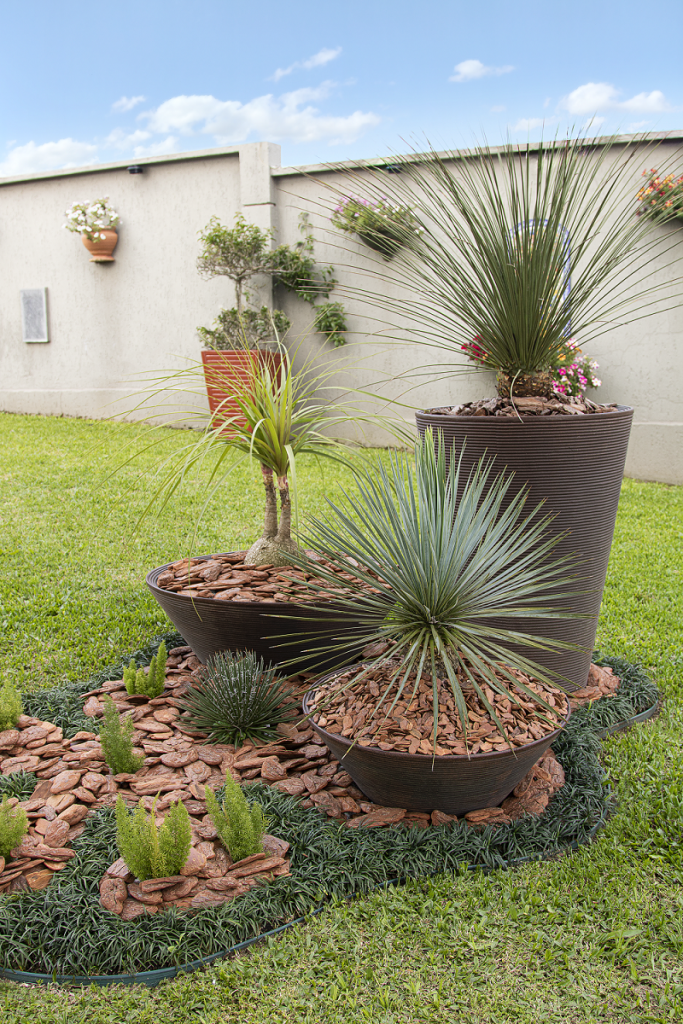 Casca de pinus: solução para um jardim mais prático, bonito e saudável