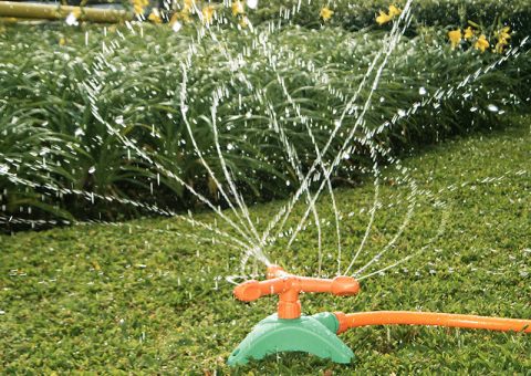 O verão pede aumento no cuidado com a irrigação e corte do jardim