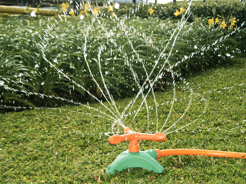O verão pede aumento no cuidado com a irrigação e corte do jardim