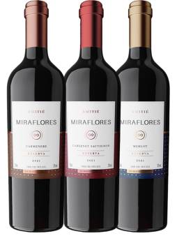Em primeira incursão internacional, Amitié lança vinho elaborado no Chile