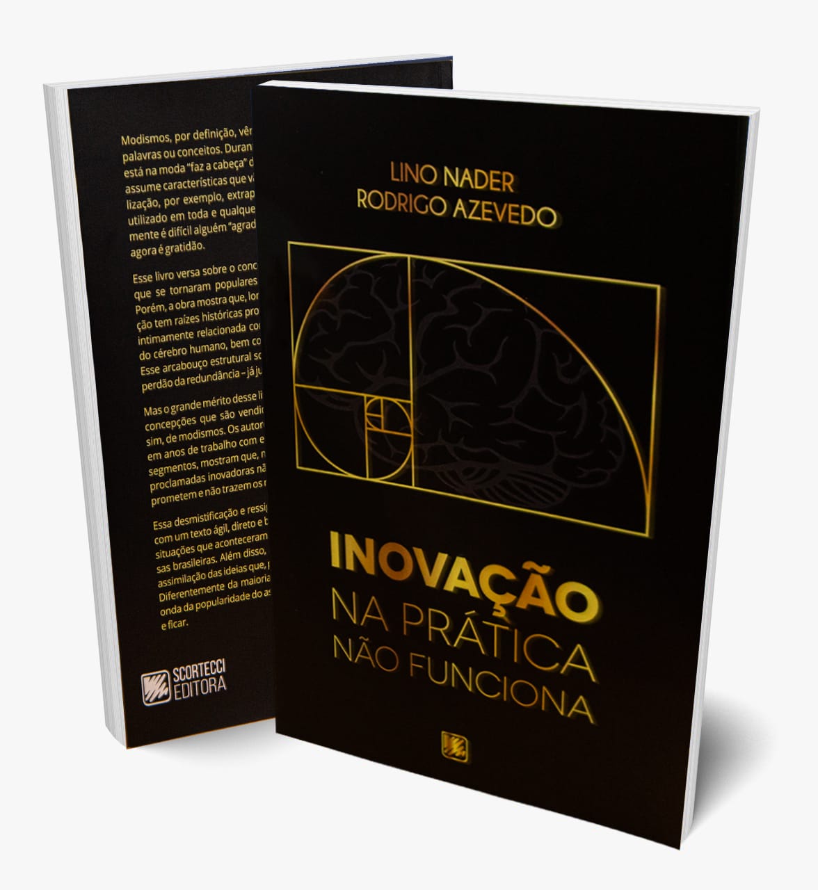 Especialista lança livro que desmistifica o conceito de inovação
