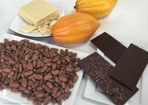 Dia do Chocolate: Descubra os benefícios desse alimento irresistível