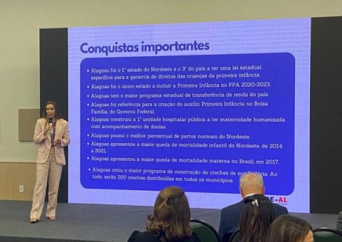 Conselheira Renata Calheiros apresenta boas práticas do TCE/AL durante reunião do Comitê da Primeira Infância do IRB