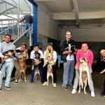 ONG Aliança com Vida promove campanha para a adoção de animais em São Paulo