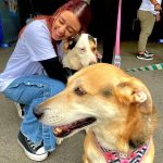 ONG Aliança com Vida promove campanha para a adoção de animais em São Paulo