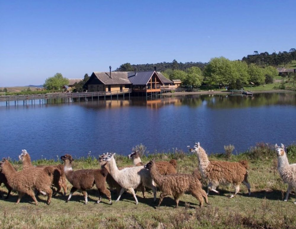 Turistas definitivamente optando por exclusividade, sossego e experiências