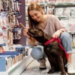 Mercado Pet em alta para empreendedores, em 2025, afirma especialista