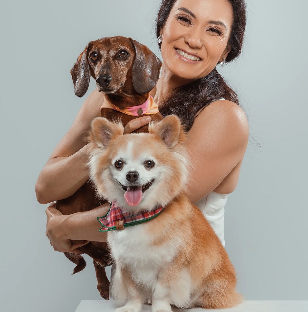 Luto pet ganha espaço nas homenagens de Finados