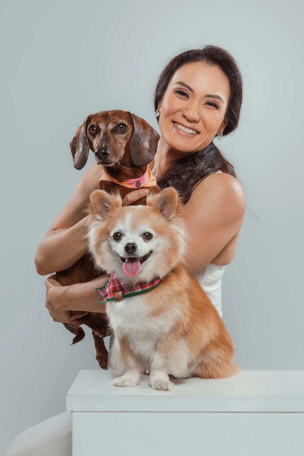 Luto pet ganha espaço nas homenagens de Finados