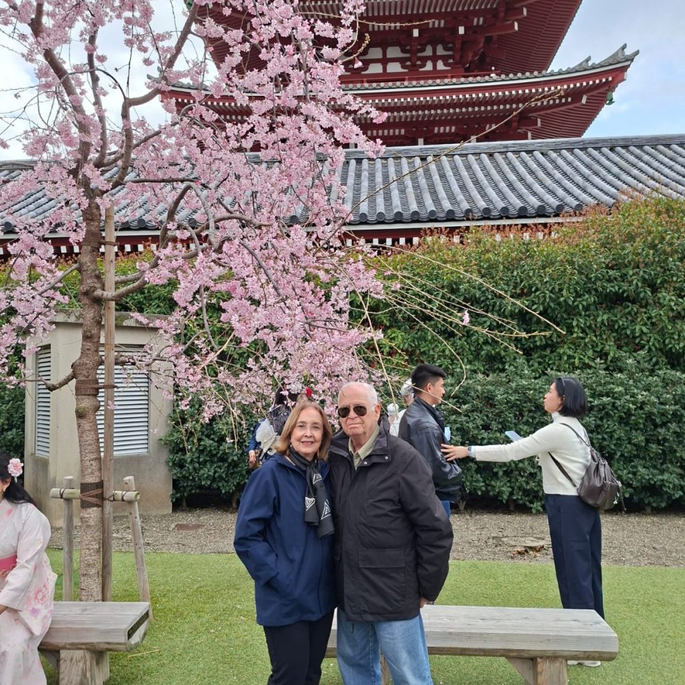 Primavera asiática: charme, cultura e um encantador pit stop no Japão