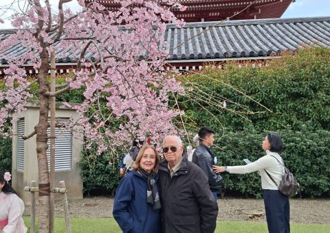 Primavera asiática: charme, cultura e um encantador pit stop no Japão